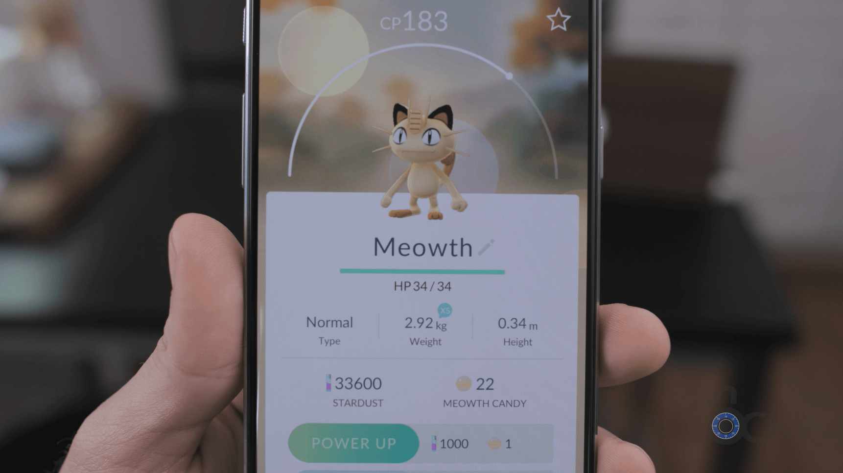 Meowth and I have gone through it #pokemon #pokemongo