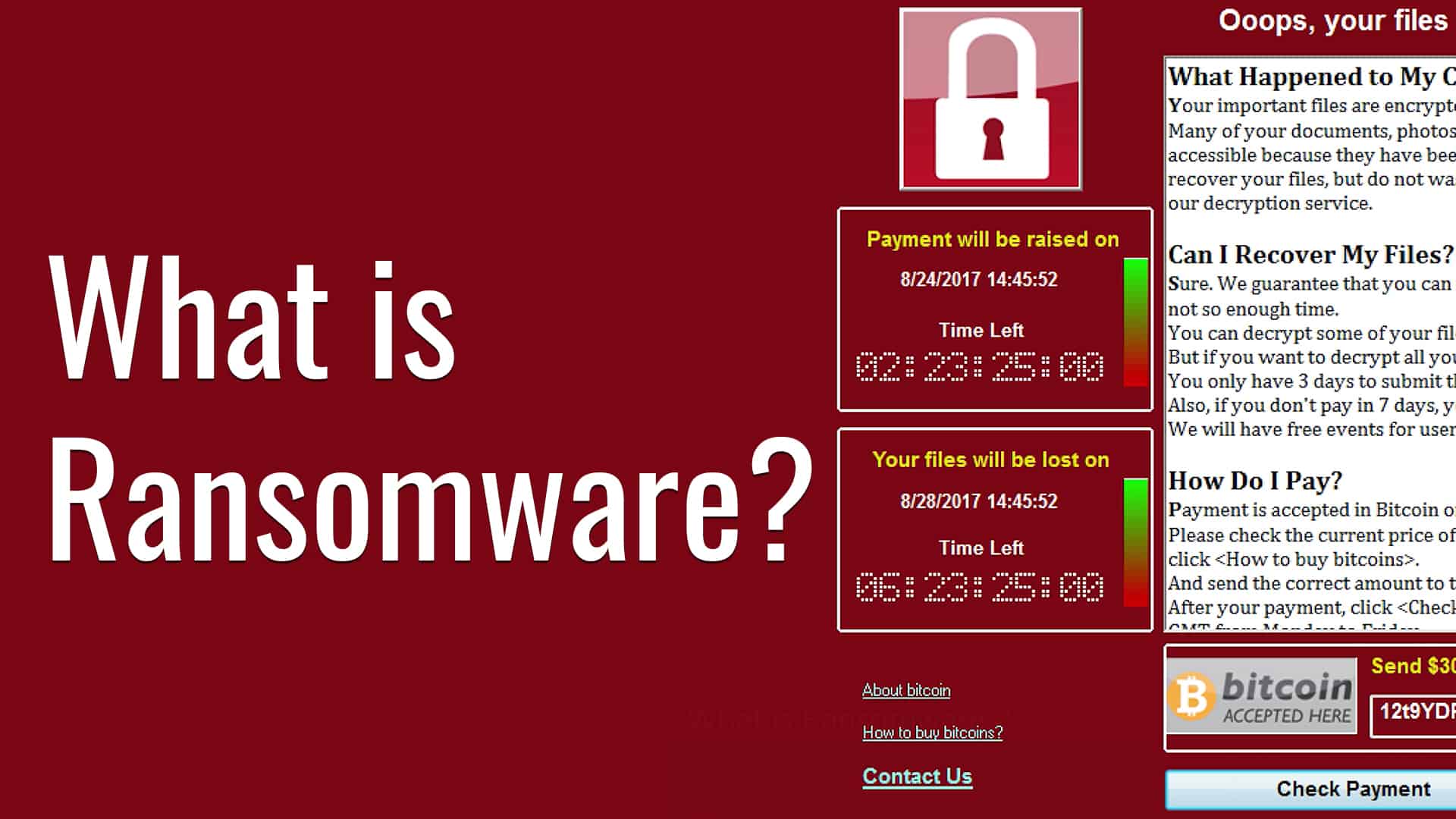 What Is Ransomware? (& How To Prevent It)